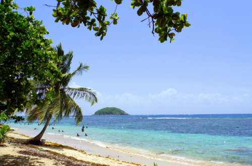 Centre de loisirs Martinique